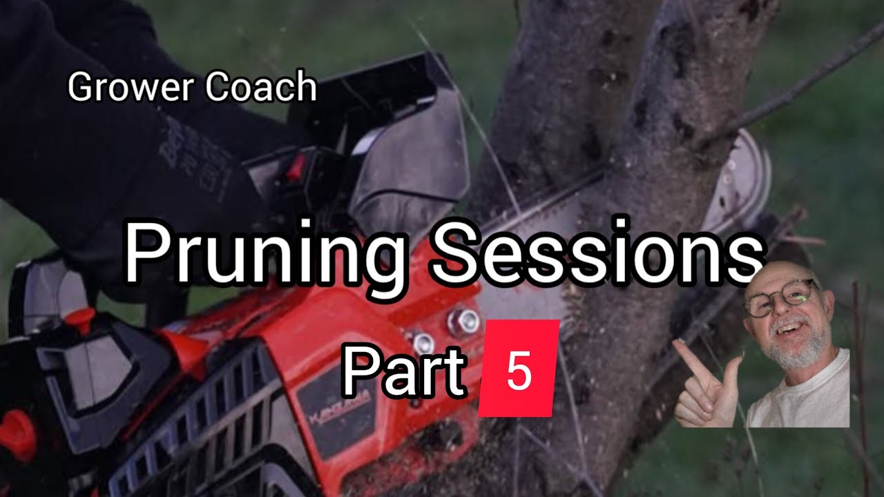 Part 5 of Grower Coach Pruning Sessions