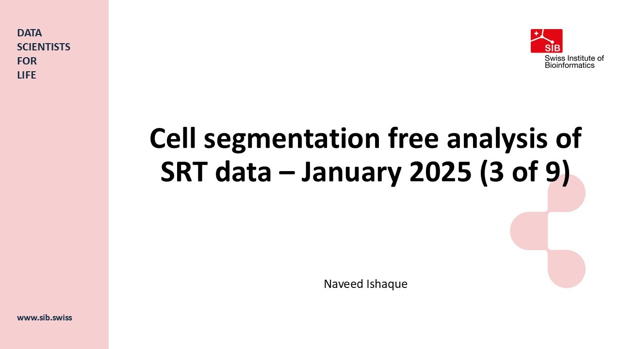Cell segmentation free analysis of SRT data - January 2025 (3 of 9)
