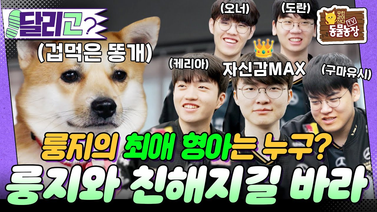 [🏃&zwj;#달리GO] 시커먼 형아들의 등장에 긴장한 누룽지! T1 형아들과 친해지길 바라~! #TV동물농장 #달리 #DALI