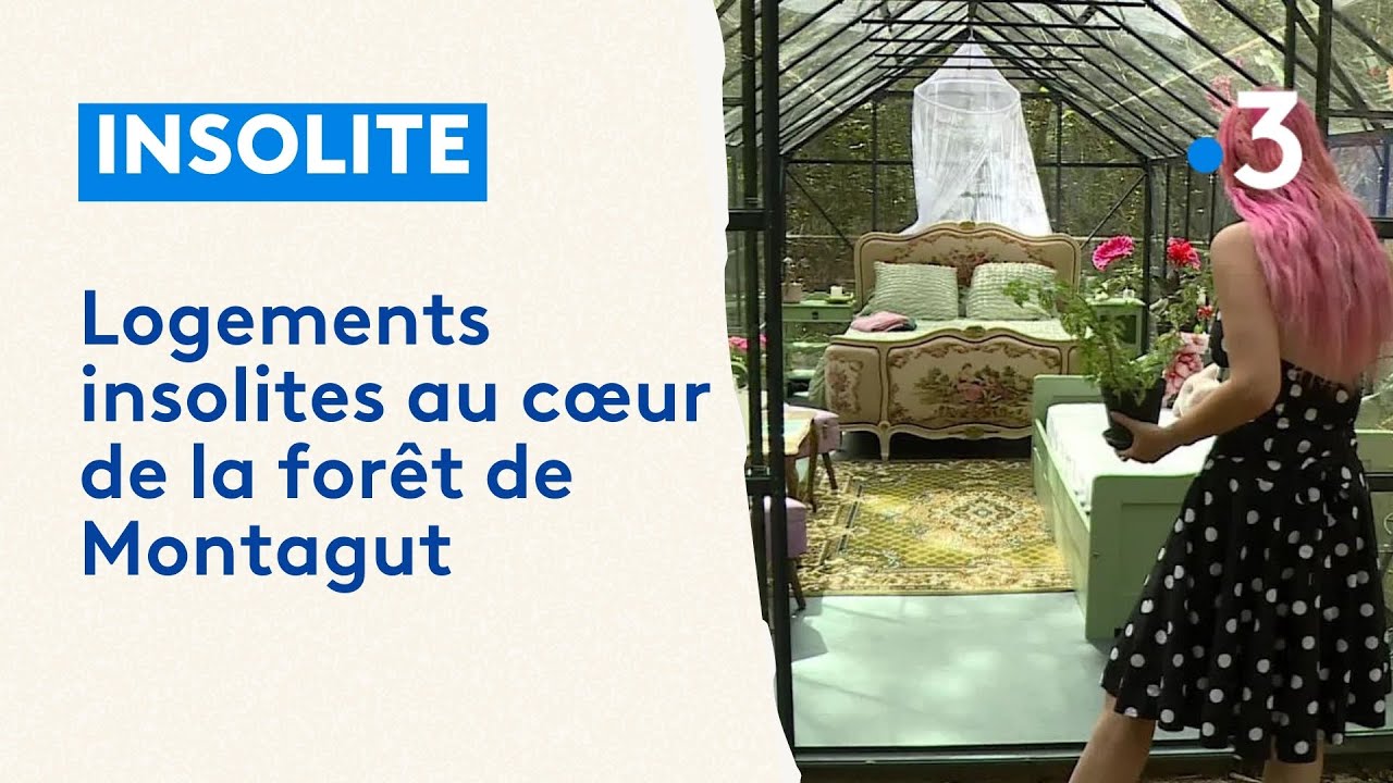 Logements insolites au c&oelig;ur de la for&ecirc;t de Montagut dans le Nord B&eacute;arn