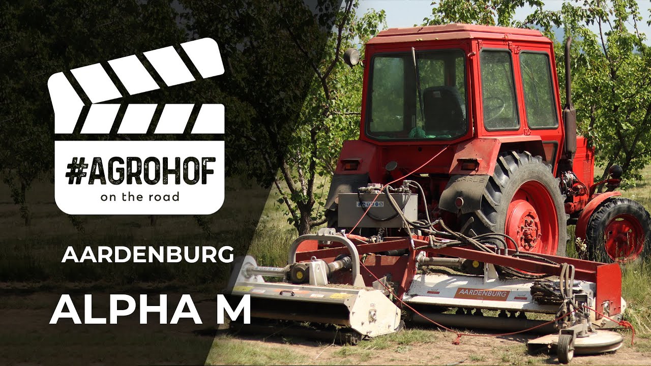 Work in the orchard: mulching with Aardenburg Alpha mulchers + Belarus MTZ 🚜│Agrohof