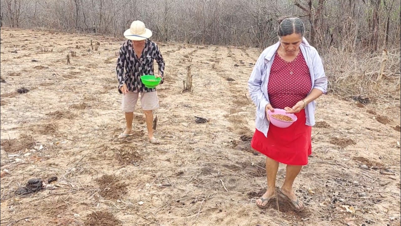 Bastidores !! Seu Mané é A Dona Duceu vai plantar feijão  !!