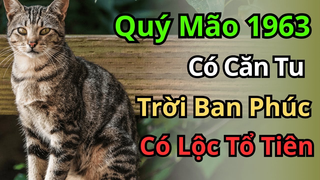Giải Mã Quý Mão 1963: Dấu Hiệu Người Có 