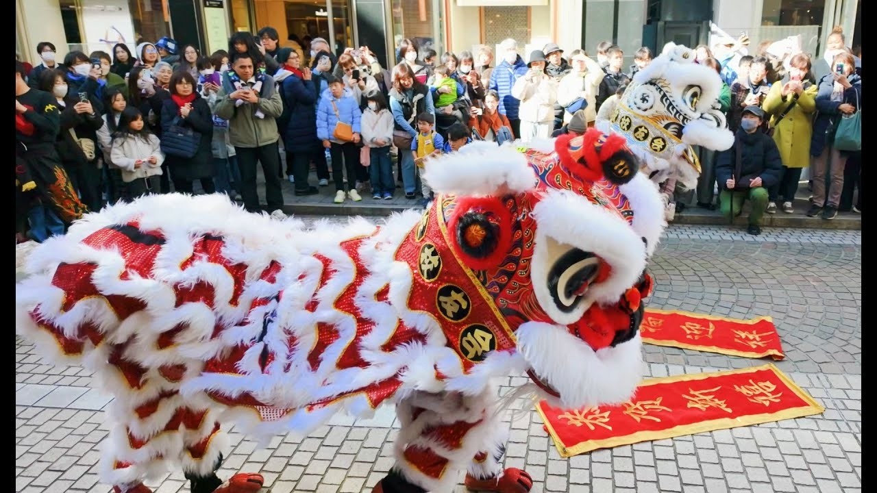 横浜中華学校校友会国術団 獅子舞 元町冬まつり 春節