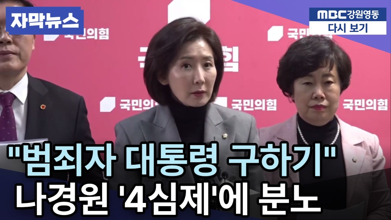 나경원 막말 