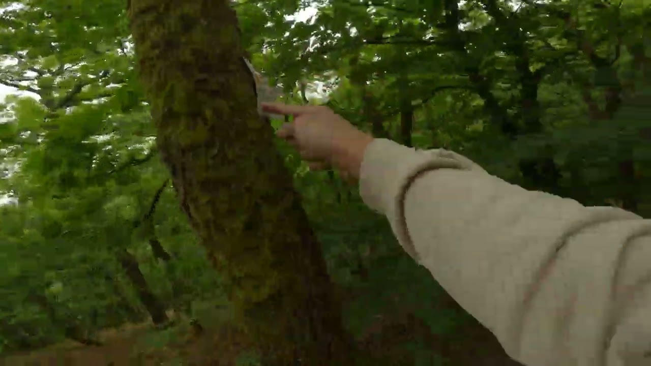 Pt1: Time Lapse Hiking Germany K&uuml;rrenberg Eifel Traumpfad Trail Scenic Landscape & Nature Adventure