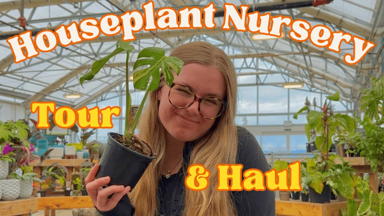 CHEAP New 8$ Rare Plants & Terrarium Finds 2025! Let's Go Plant Shopping!