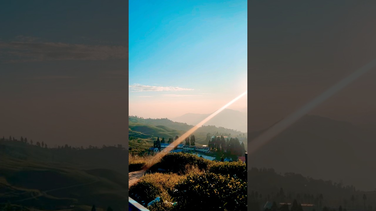 Tea Garden 🪴 #nepal #illam #travel #shorts #viralvideo #lewiscapaldi #music