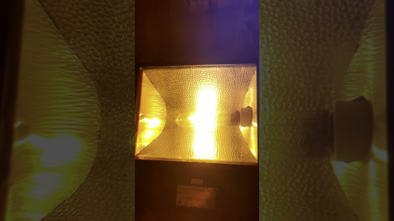 250w HPS Floodlight  @WeNeedSomeMusic @FireAlarm-Streetlighting-Guy