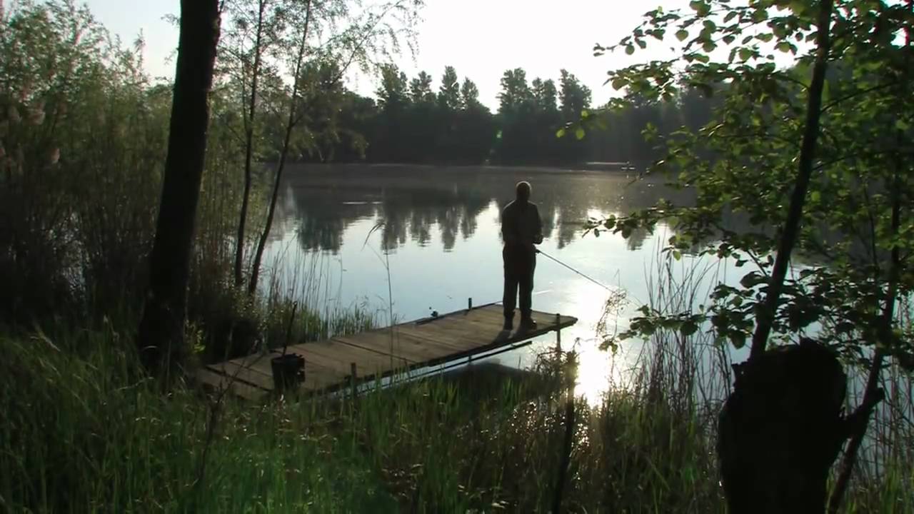 Der Waldsee - Angeln und Natur im Herzen des Rheinlands