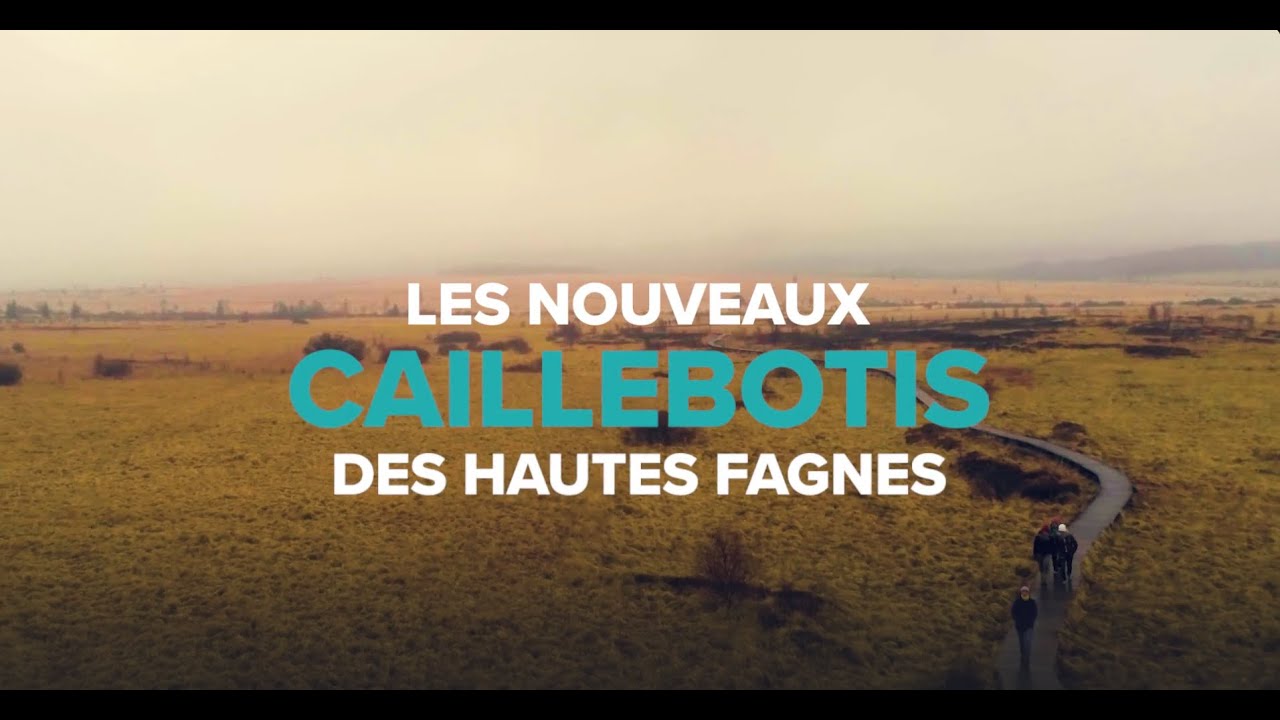 Les nouveaux caillebotis des Hautes Fagnes