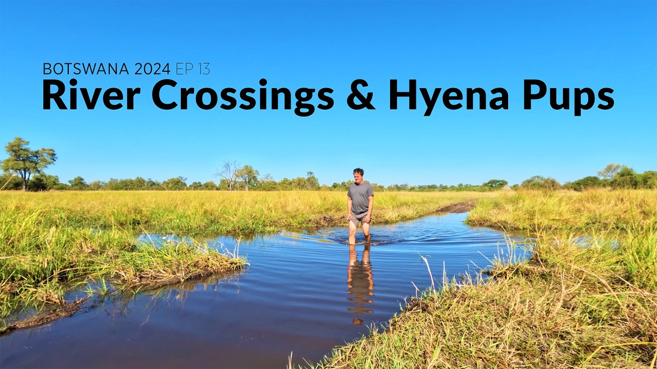 River Crossings & Hyena Pups in Khwai - Botswana 2024 Wildlife Filmmaking BTS Ep 13