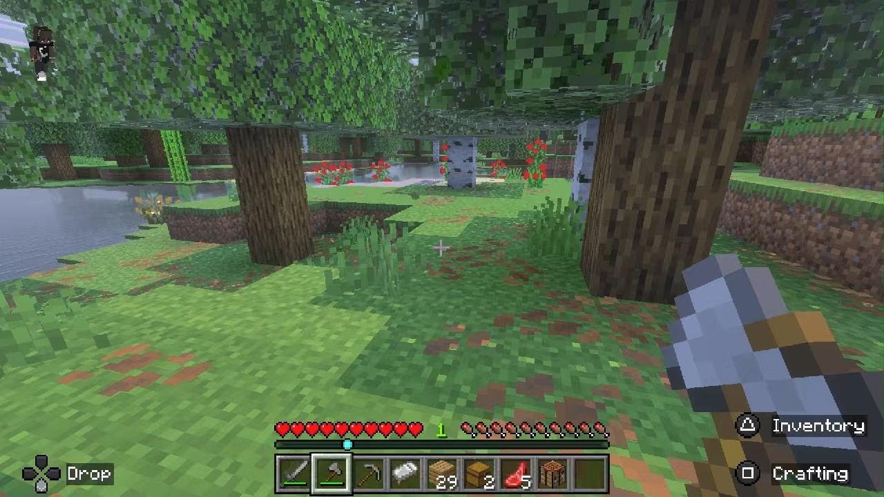 Minecraft Part1