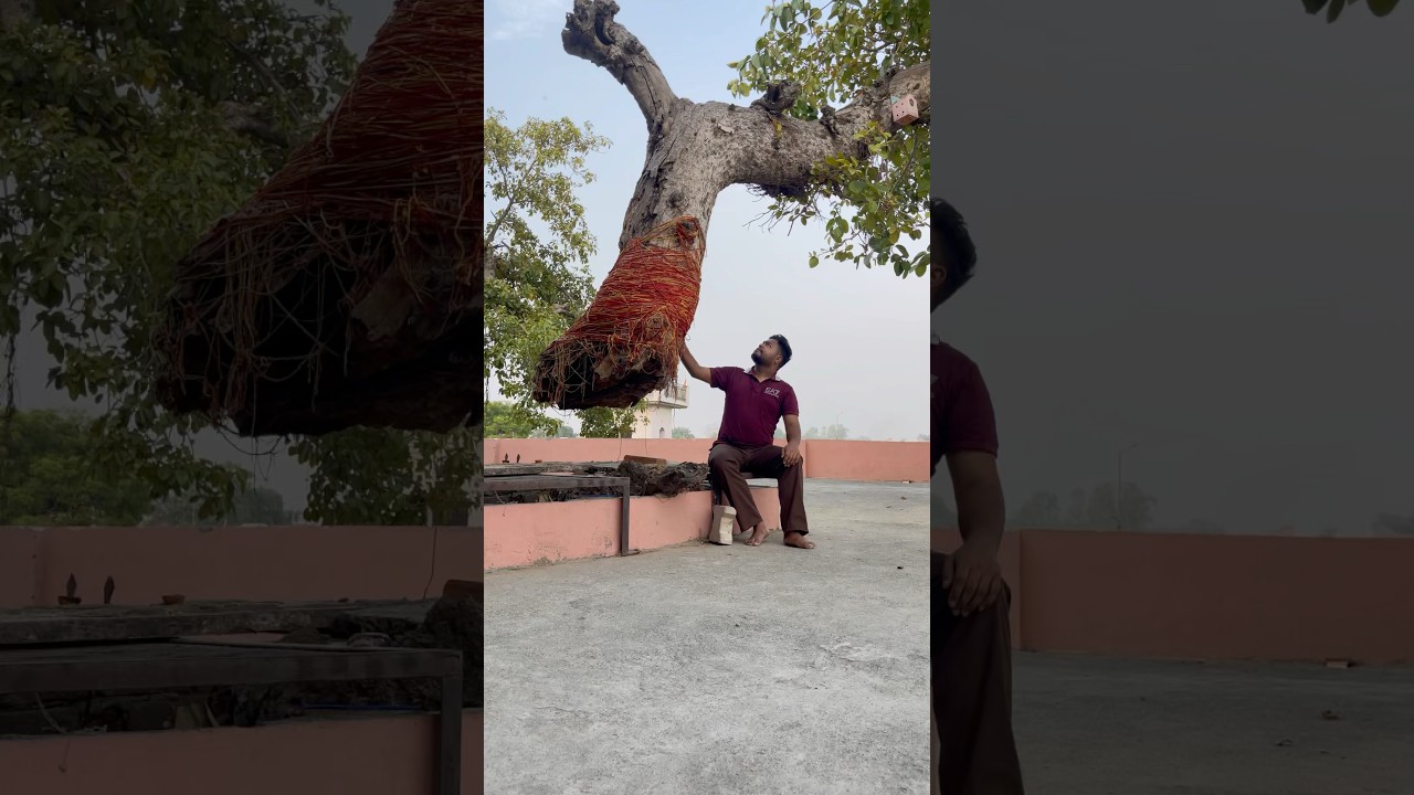 Ishwar Satya hh Satya hi shiv hh  #shiv #harharmahadev #shivshankar #shivshakti #shambhu #shankar
