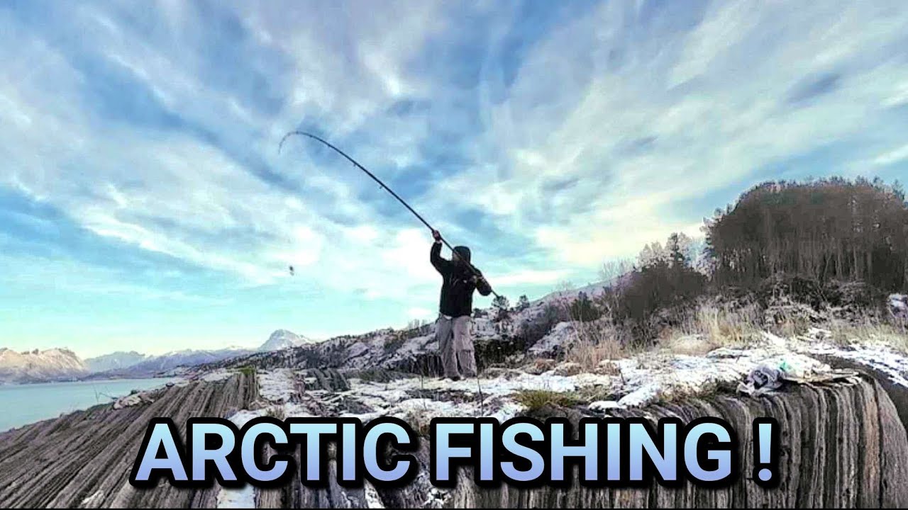 Winter shore fishing in arctic Norway !