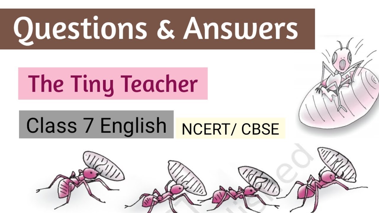 Questions & Answers| The Tiny Teacher| Class 7 English| Ncert Cbse