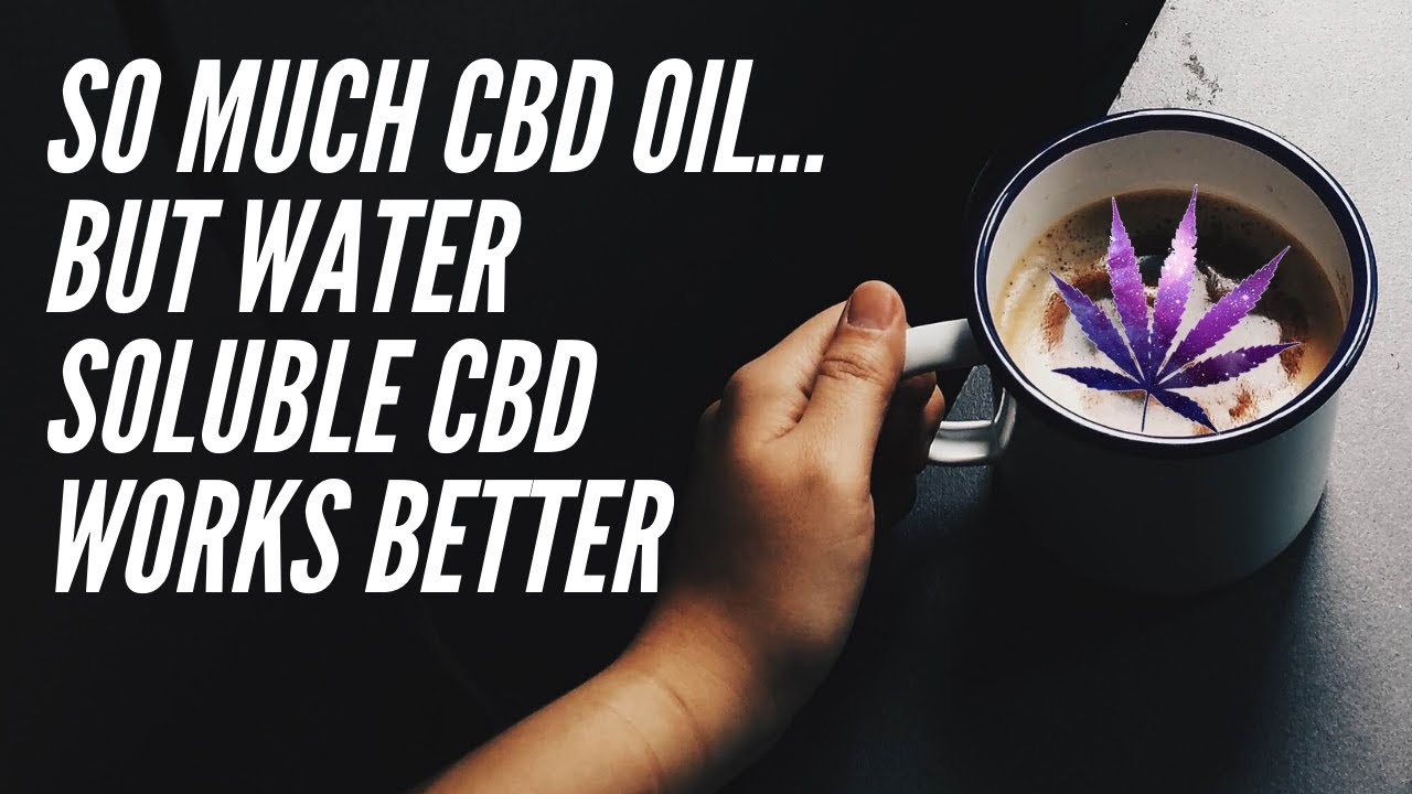 Why is there so much CBD OIL? WATER SOLUBLE CBD works better!