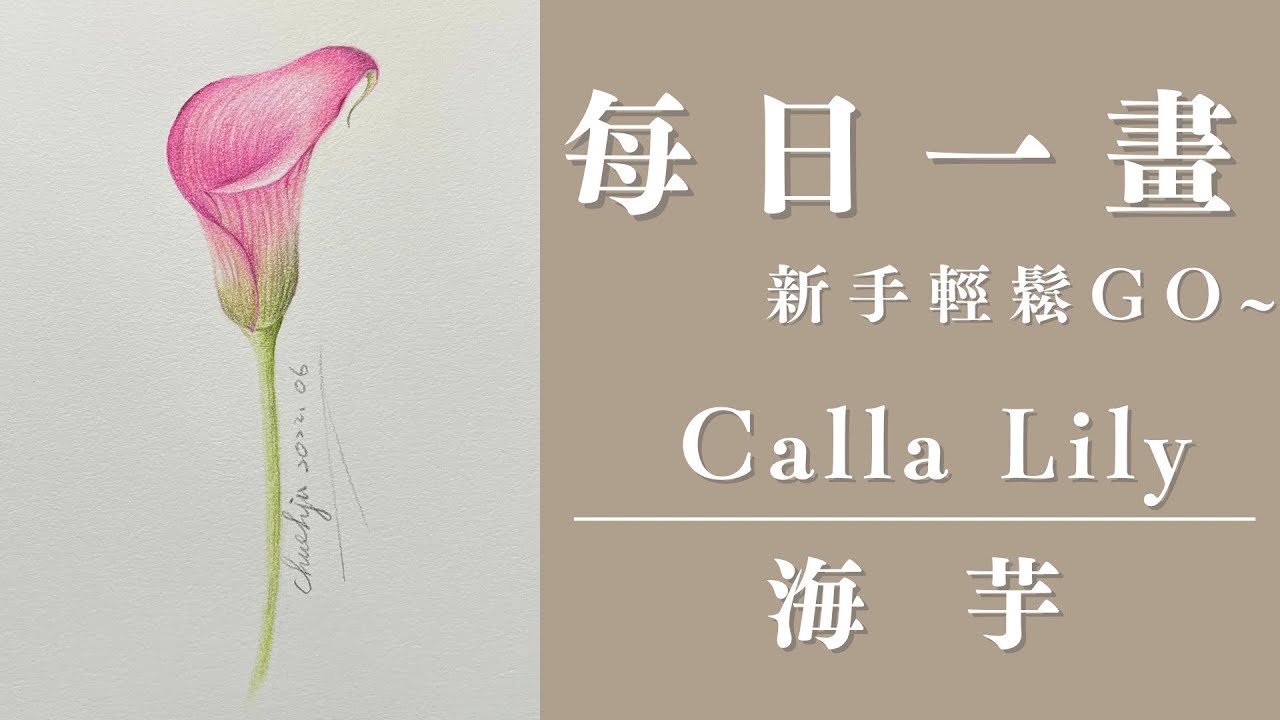 每日一畫-初學者輕鬆畫系列|還煩惱想畫花卉植物 怎麼畫嗎?翩翩動人的花朵該如何開始?新手想從花卉植物開始練習卻不知哪種花朵適合初學者嗎?那就千萬不要錯過這則影片~海芋就是一款非常適合新手的花卉起手式喔