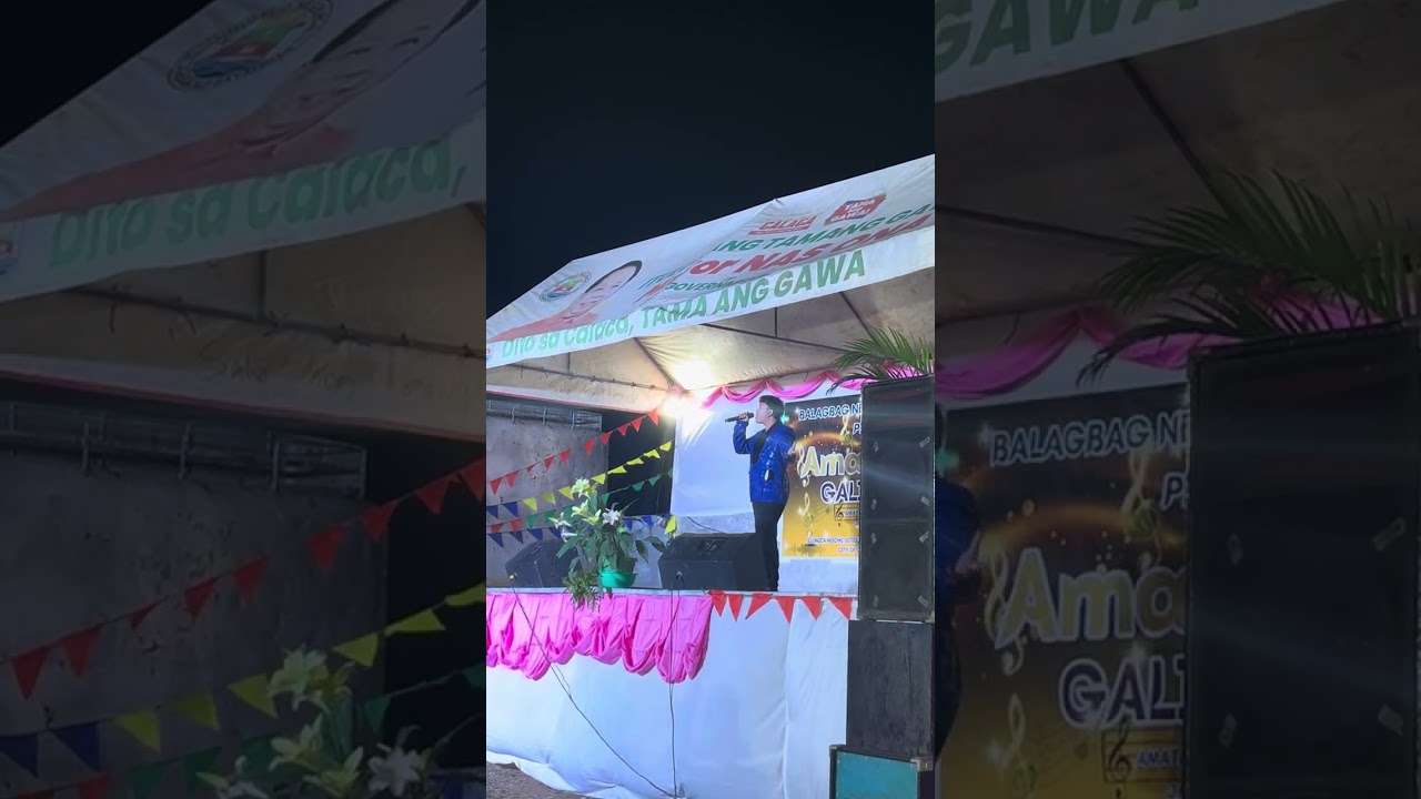 Skyline pigeon Areglo - Vhergel Baon 