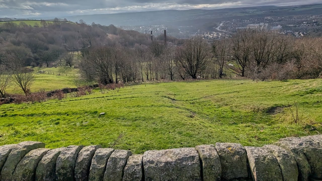 The View 