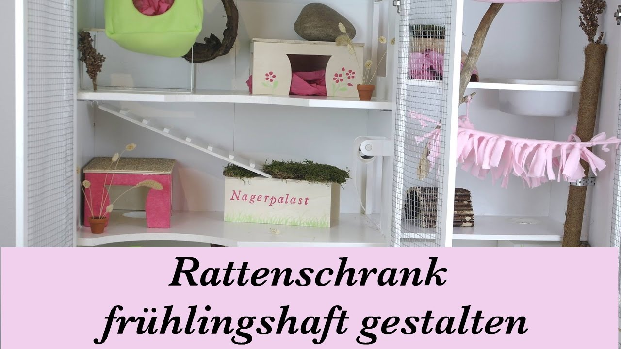 Fr&uuml;hlingsk&auml;fig einrichten || So gestaltest du deinen Rattenschrank fr&uuml;hlingshaft