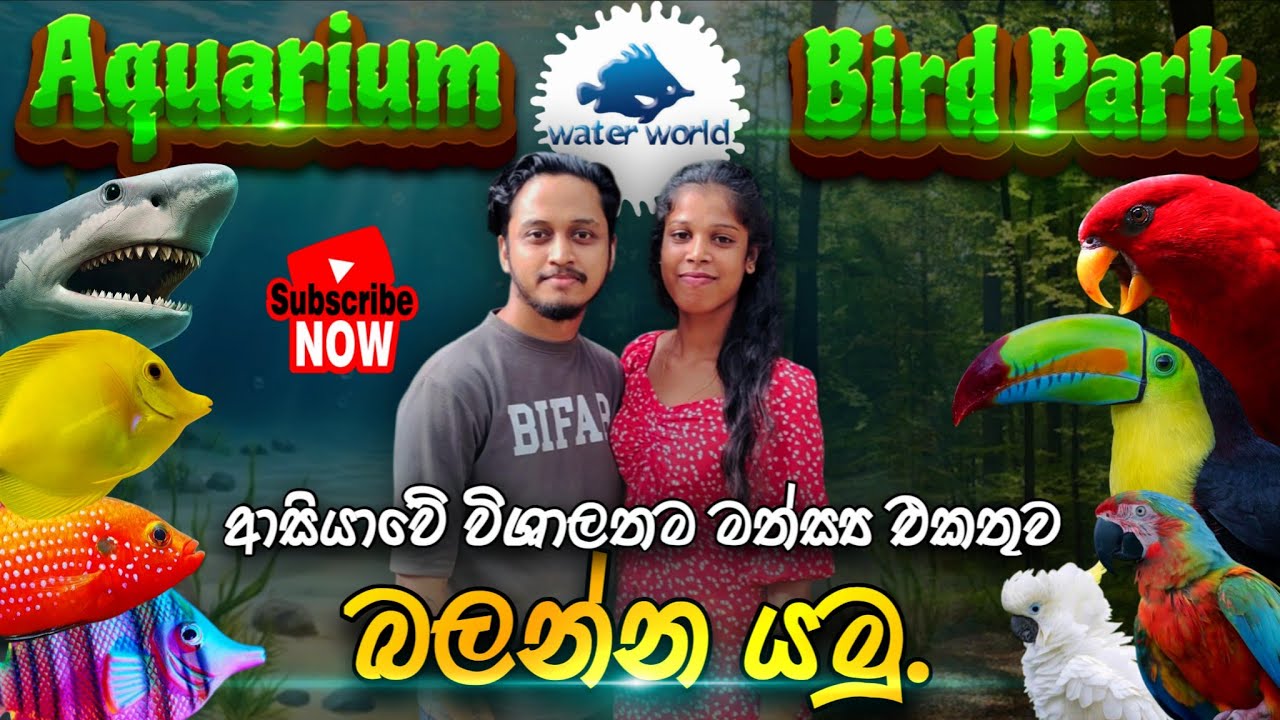 Water World Kelaniya | ආසියාවේ විශාලතම මත්ස්‍ය එකතුව බලන්න යමු.