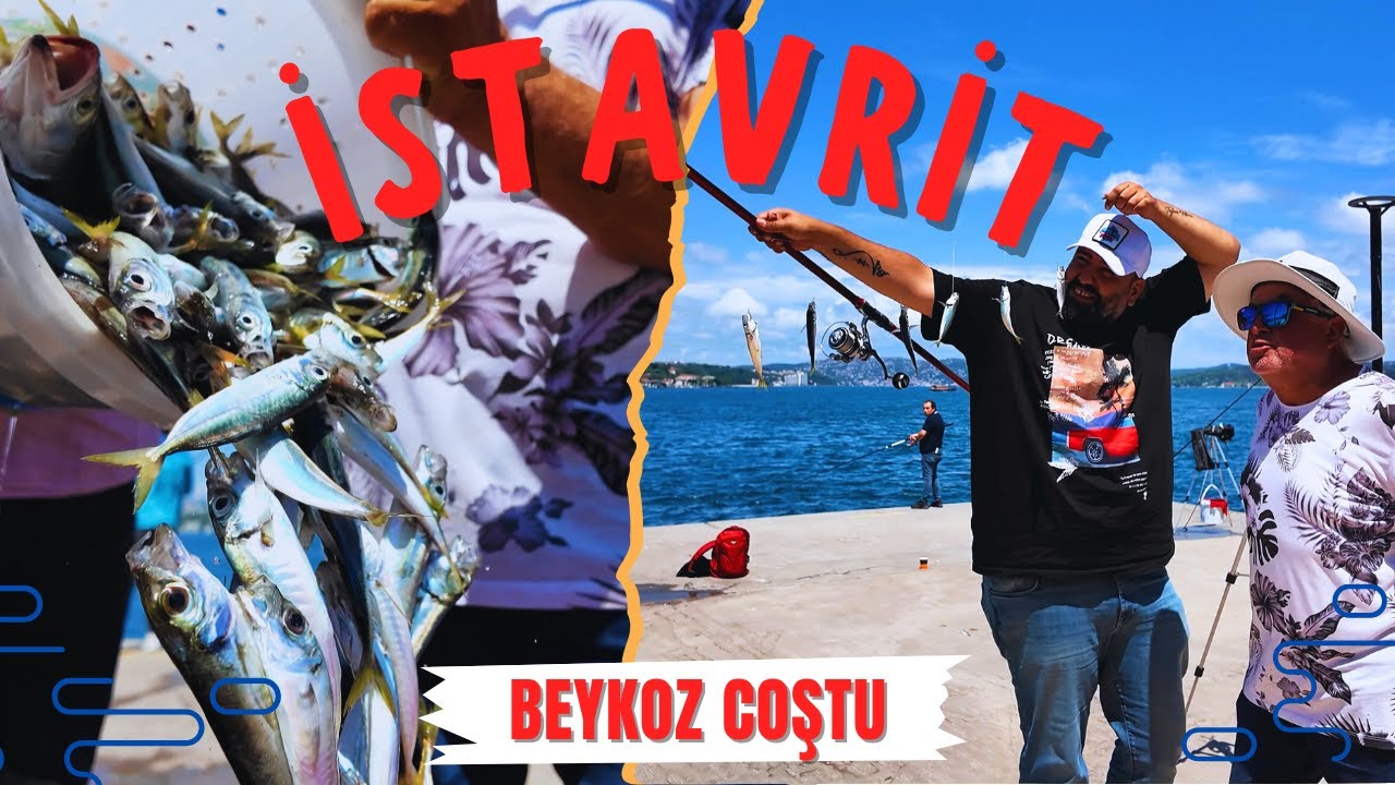 İSTAVRİT AVI İSTANBUL BOĞAZI ÇAPARİ AVI #öneçıkar #istanbul #balıkavı #fish #deniz #istavrit #çapari