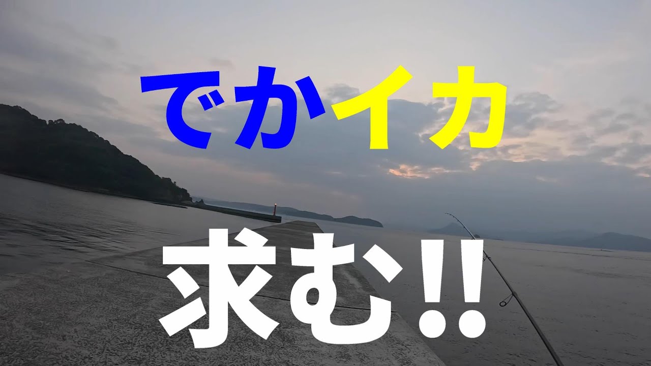 鹿児島県に　でかイカ求めて行ったら・・・