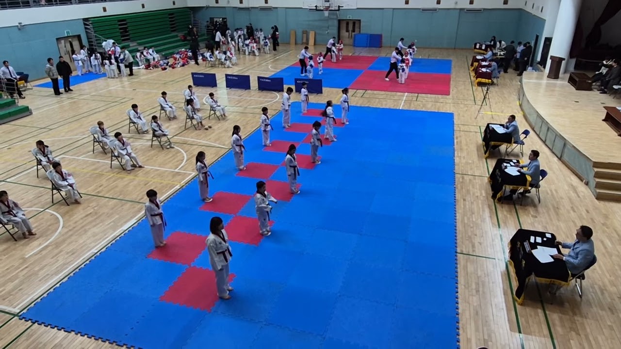 26년 1월 국기원승품단심사 2품 품새/한예린.김하린.황승우.정재엽