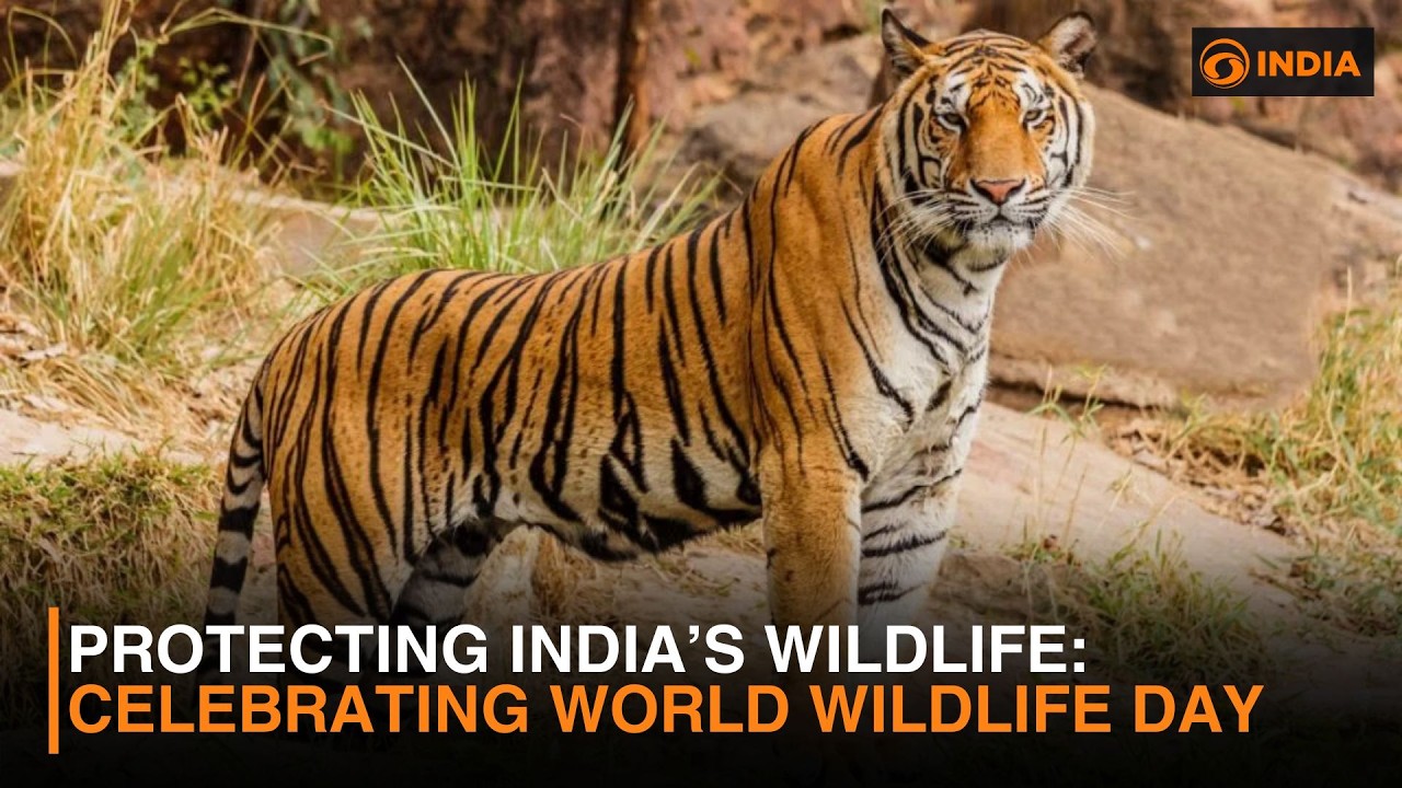 World Wildlife Day 2026: India Strengthens Conservation Efforts