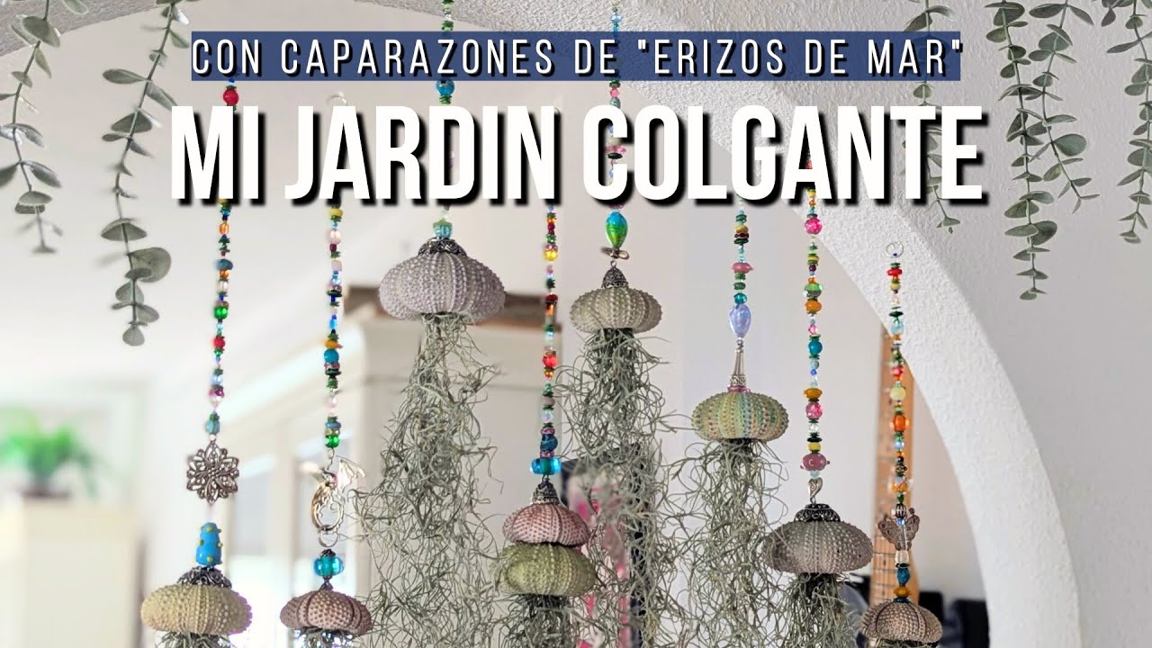 Cómo hacer un jardín colgante con plantas del aire 🌿 | Jardín vertical de interior decorativo