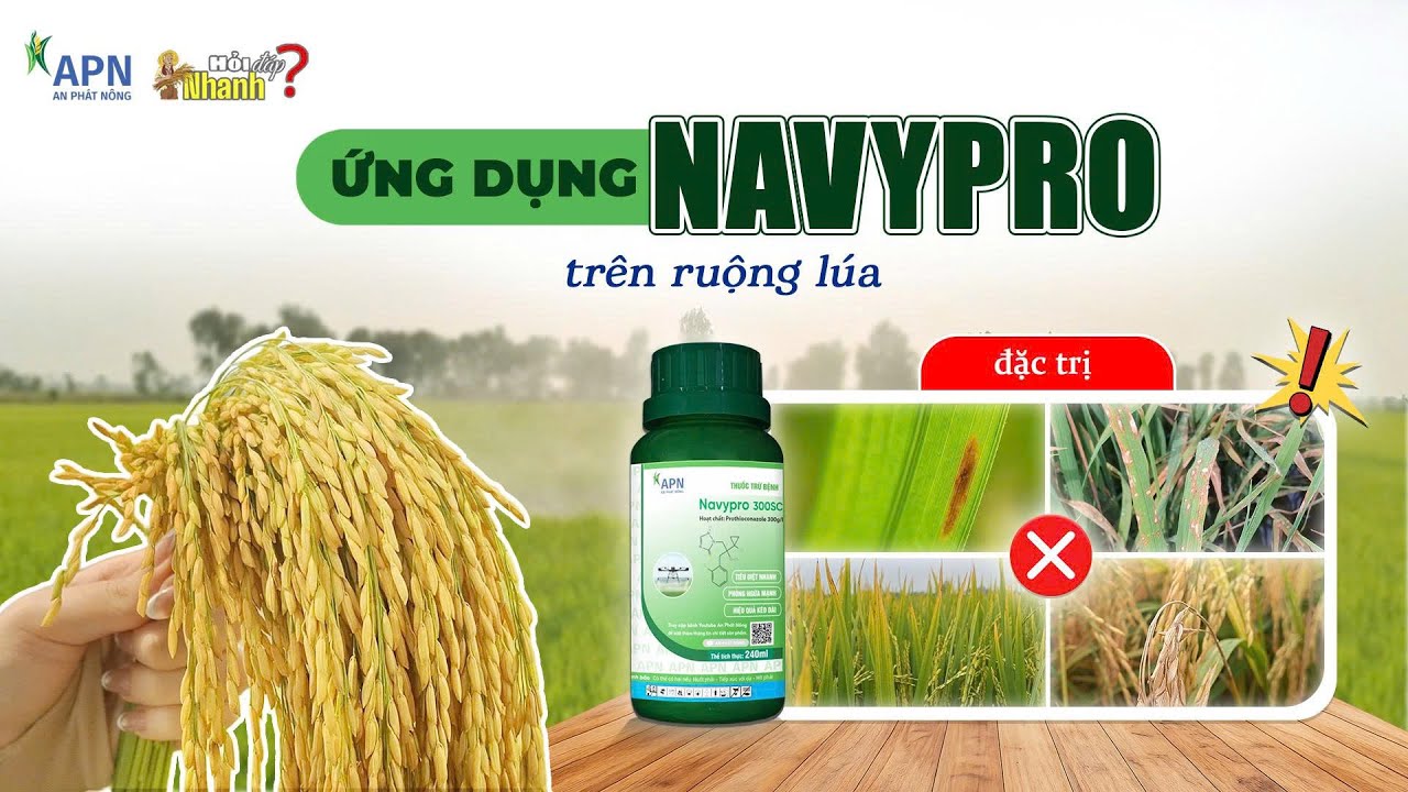 APN - ỨNG DỤNG NAVYPRO TRÊN RUỘNG LÚA