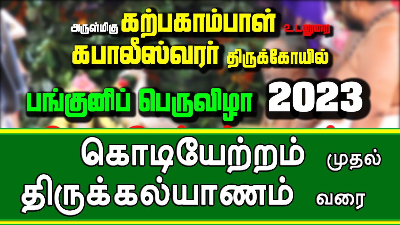 2023 கொடியேற்றம் முதல் திருக்கல்யாணம் வரை | Panguni Festival 2023 | Mylapore | MYLAI Temples
