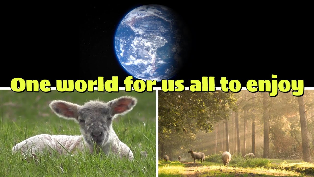 One World Song - One Home For Us All (Caring For, and Sharing Planet Earth)