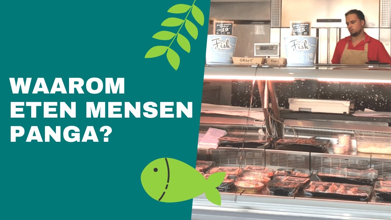 Wat denken consumenten en visverkopers van pangasius?