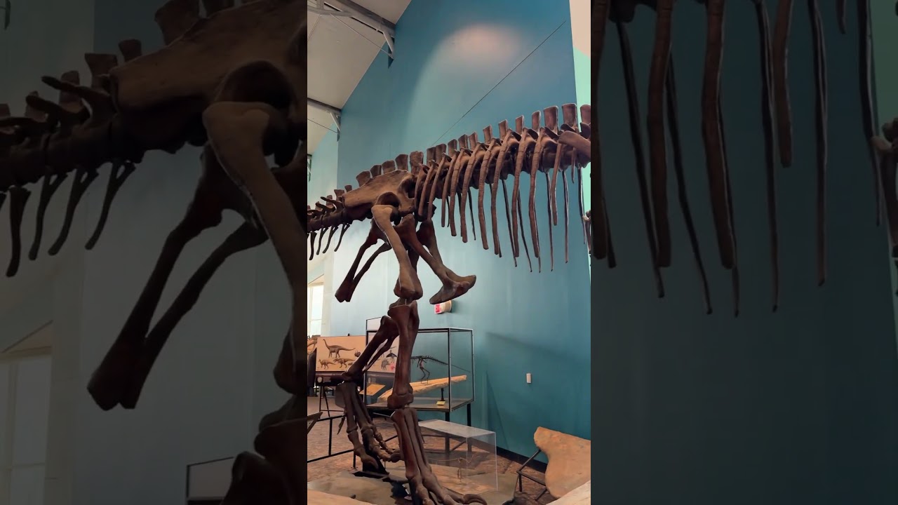 Unlock The World Of Science: Explore Baltimore City's Amazing Science Center!