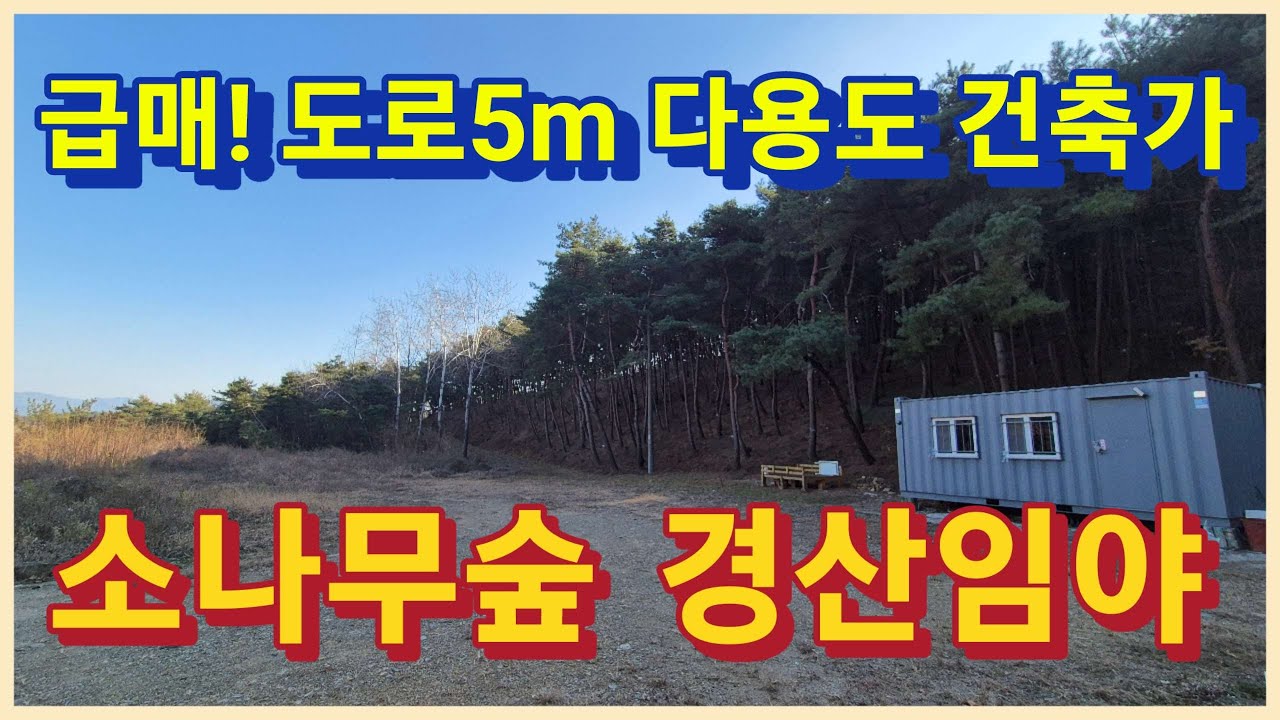 경산시 남산면 소나무로 매운 급매물 5m 도로 잘 접한 2천평 미만의 다용도 개발행위 되는 경산임야 여기어때 3083