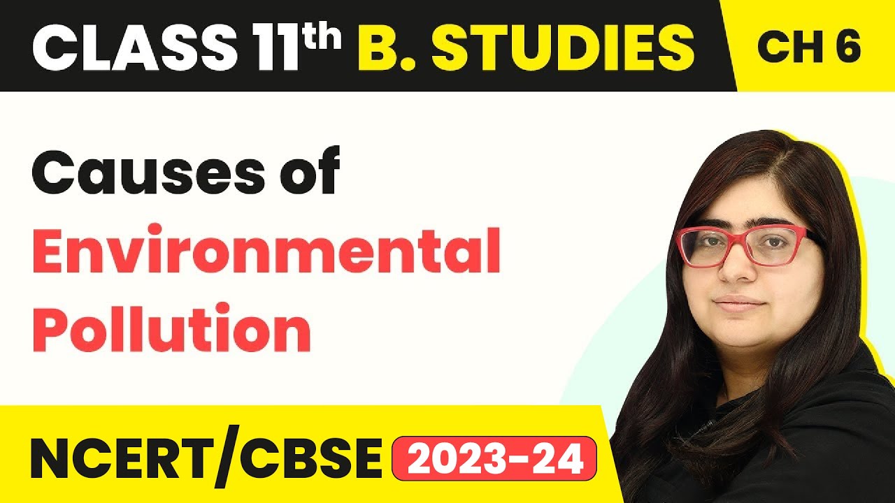 Causes of Environmental Pollution - Social Responsibility of Business | Class11 Business Std Chap6