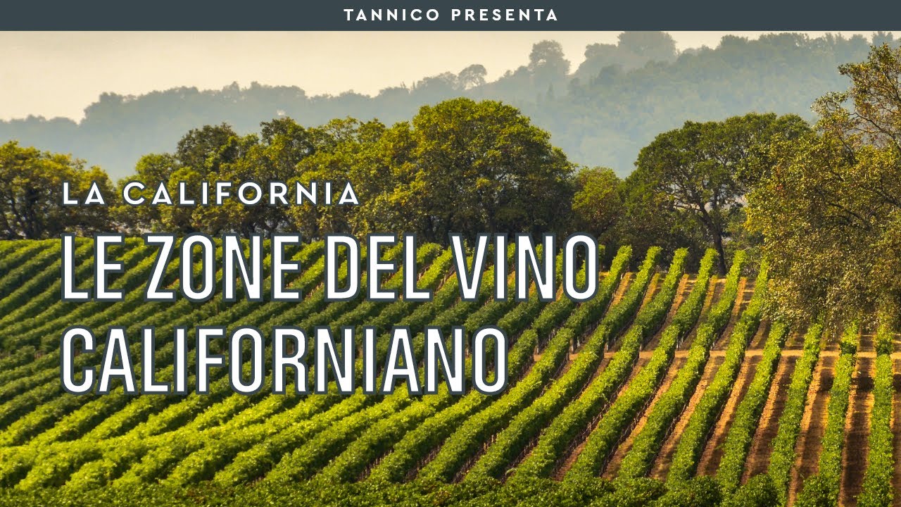 Dalle cantine della Napa Valley ai vini della Sonoma County | Tannico Flying School