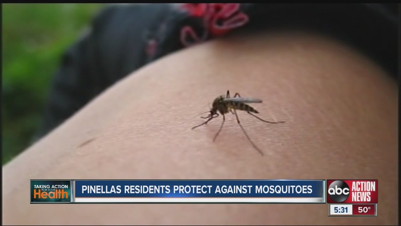 Eastern Equine Encephalitis found in sentinel chicken