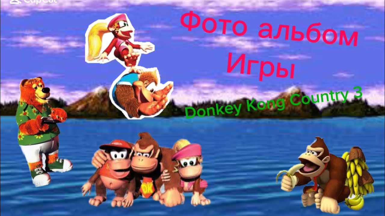 Фото альбом игры Donkey Kong Country 3