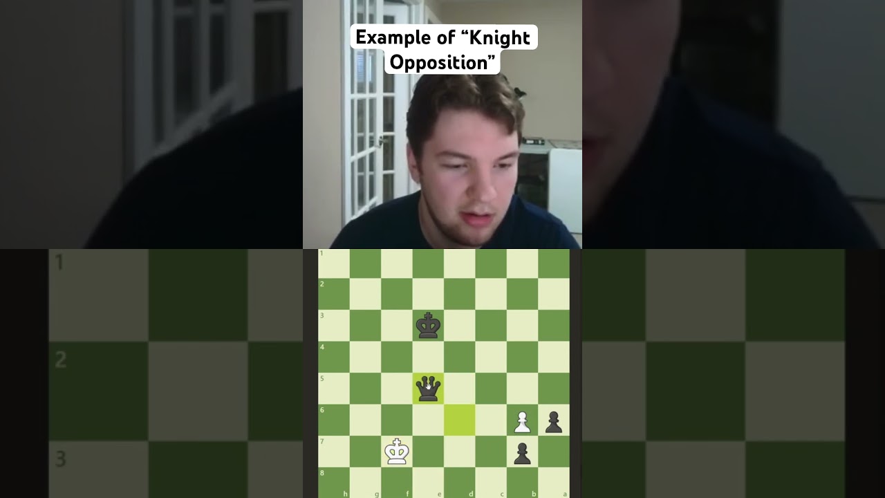 Chess example of Queen Checkmate with &ldquo;Knight Opposition&rdquo;! #chess