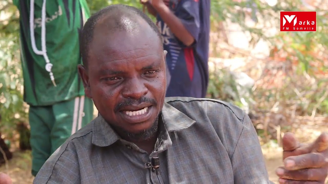 Qoysaskii ugu badnaa oo Abaar darteed u soo barakacay Degmada Marka, iyaga oo qeylo-dhaan diray