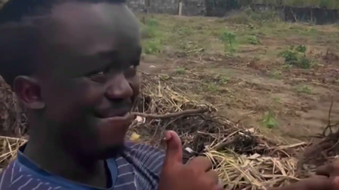 Sean Bridon comedy video || Stealing Watermelon 🍉😂