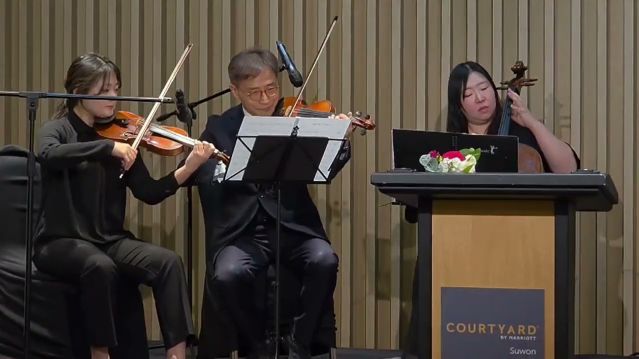 바이올린 배우는 변호사