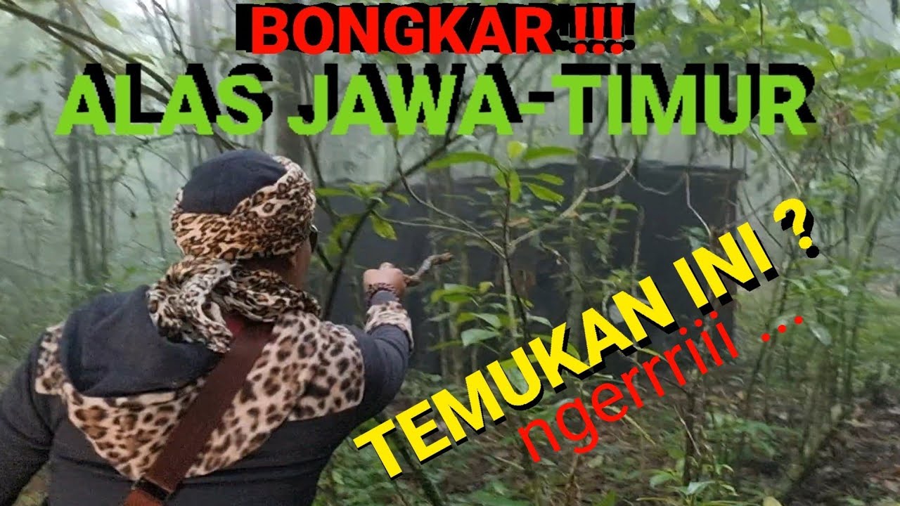 ADA PUSAKA MILIK GAIB RAKSASA TERTANCAP DI POHON TUA