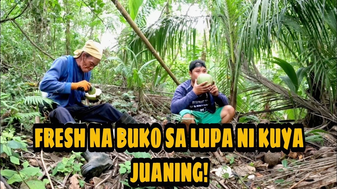 TINULUNGAN KO SA PAG KUHA NG PANG GATA SI KUYA JUANING | KAUTOL TV