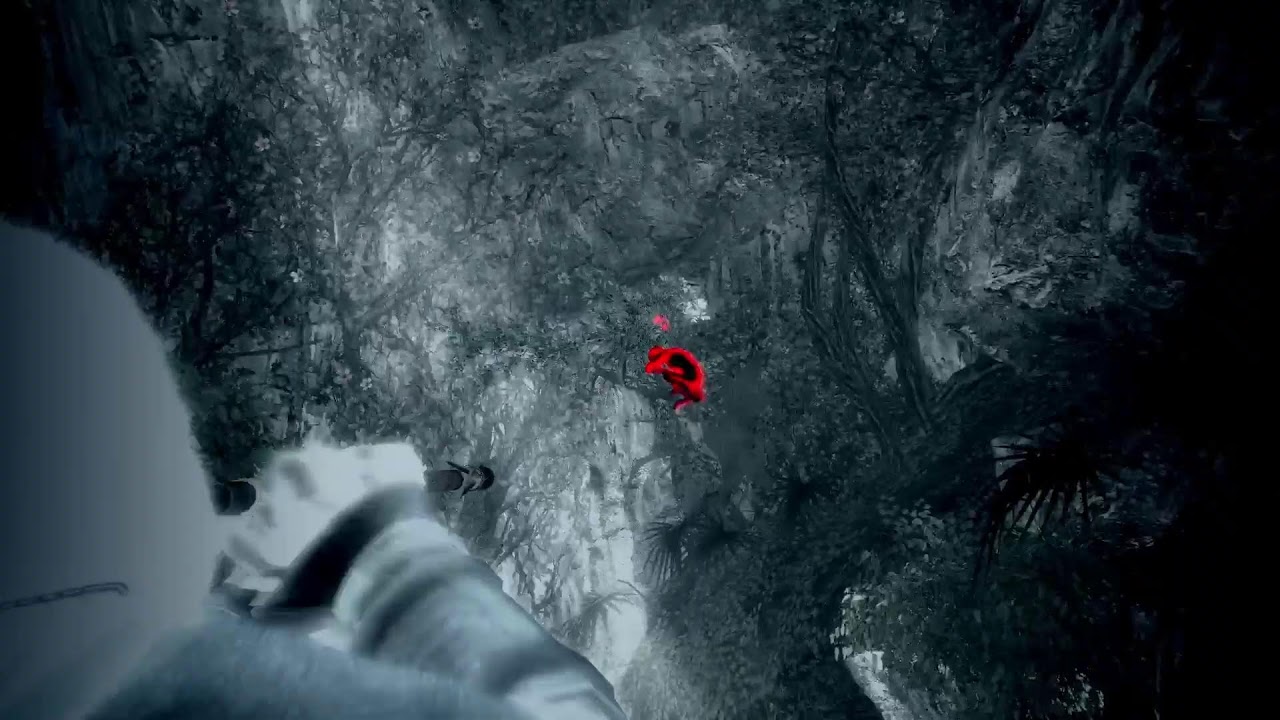 Assassin's Creed Black Flag