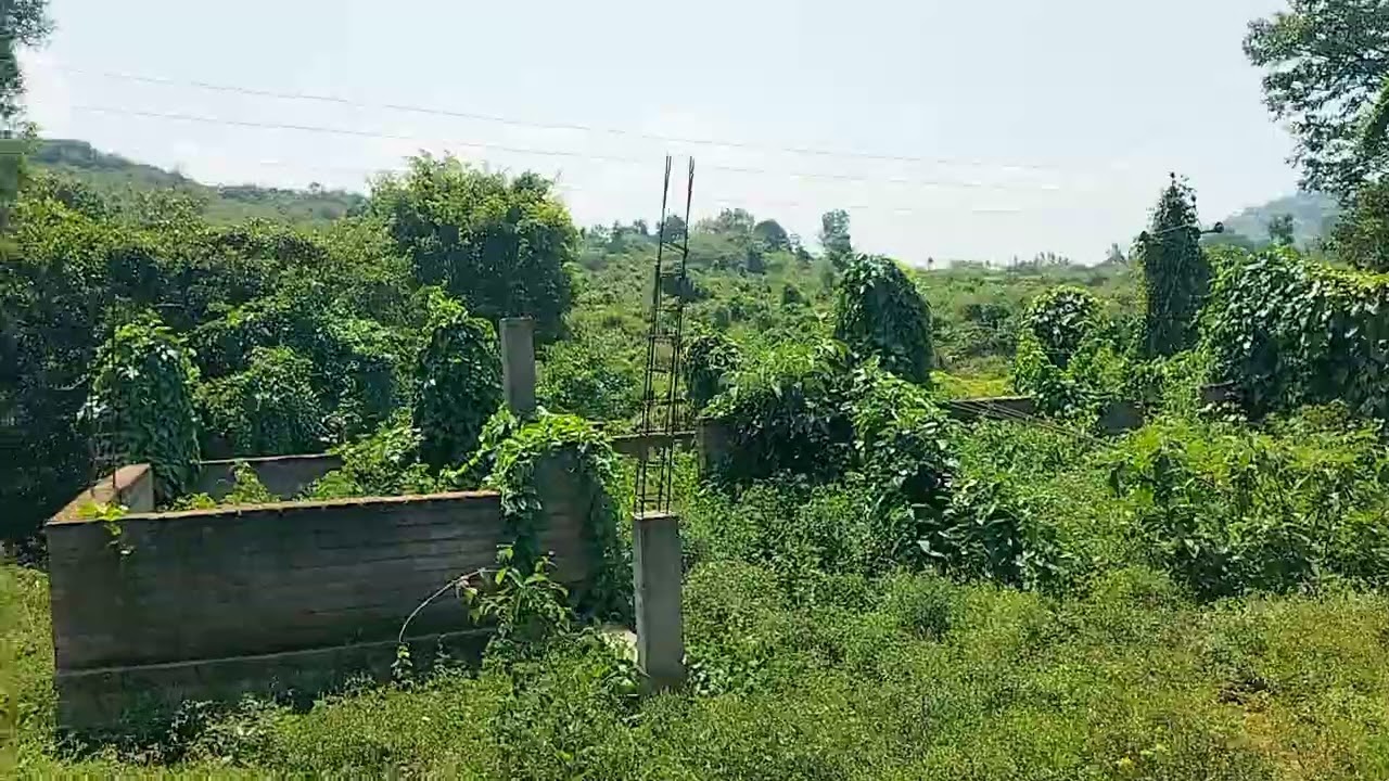 (SOLD OUT)10 acre agriculture land 7 lak for acre.