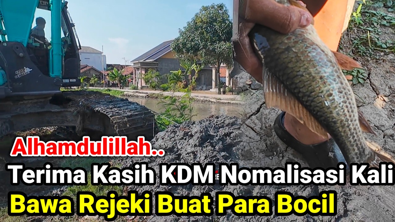 Alhamdulillah‼️Terima Kasih KDM Normalisasi Kali Pisang Sambo Bawa Rejeki Buat Para Bocil